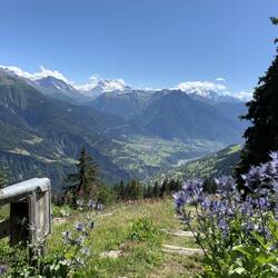 Aussicht Naturfreundehaus...