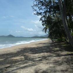 The stunning beach at Palm Cove