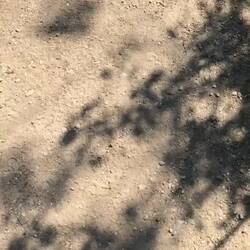 Kurz nach dem 2.Bad kam das hier. Schade