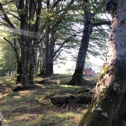 Mein abendlicher Zeltplatz