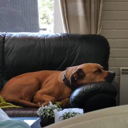 Tala : "Ich bin heut mal faul!“ 😴