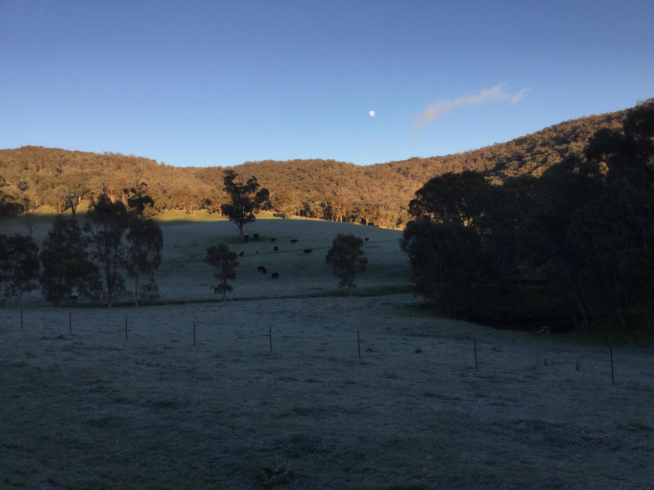 Sun, moon and frost.