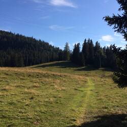 … die typische Jurawägli …