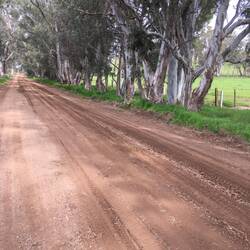 Grader, then rain, then slush.