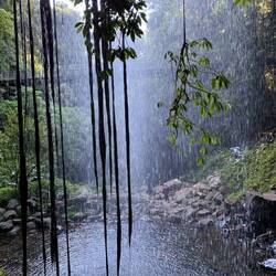 Looking out from under the falls.