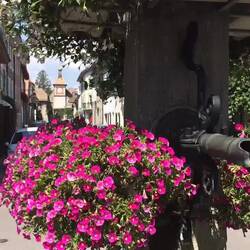 … Wasser … 💦 … 😀