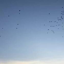 Hier wohnen die Stars.