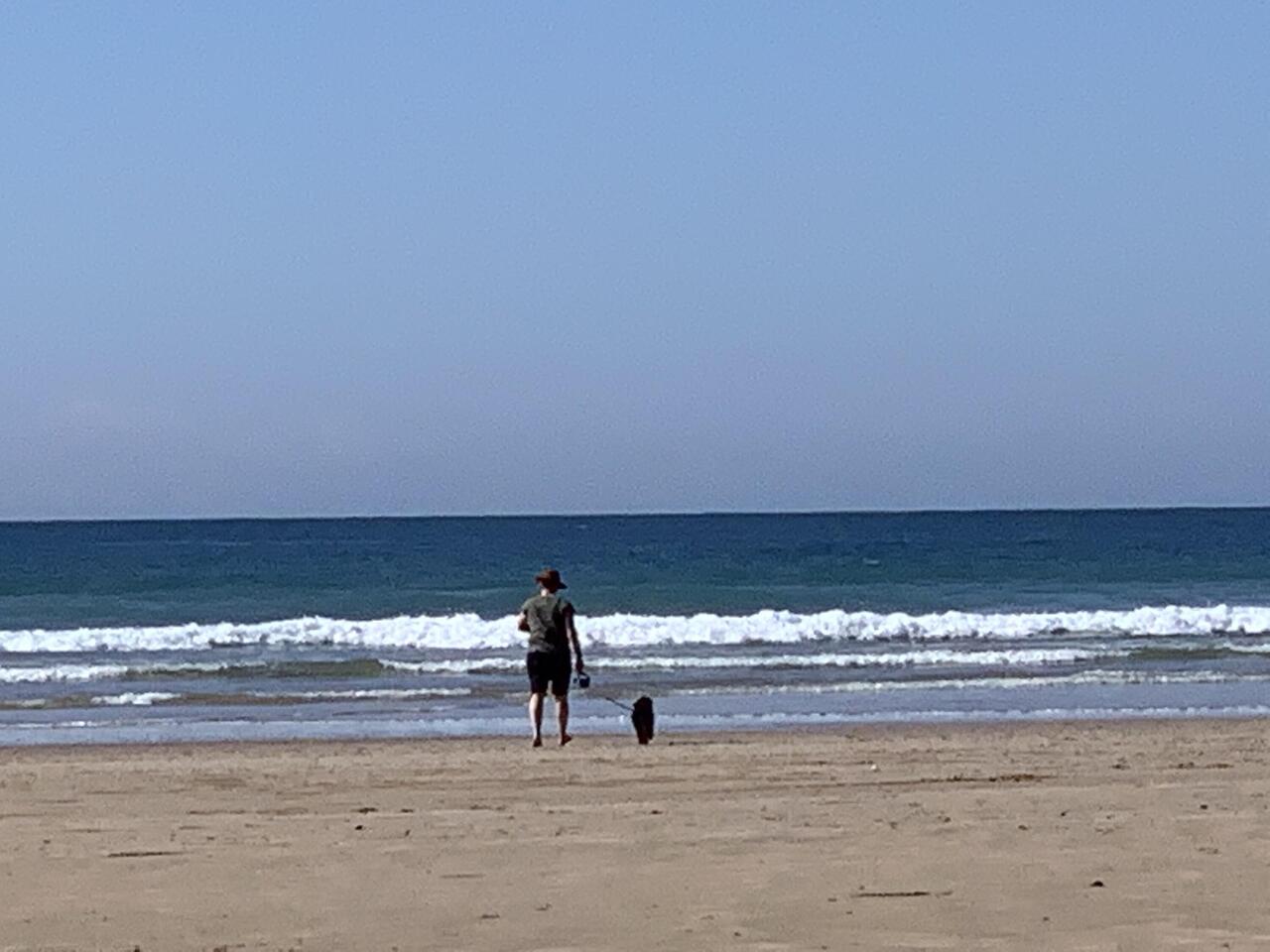 Morning walk