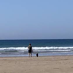 Morning walk