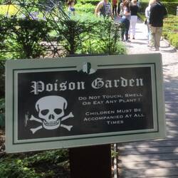 What's your poison?