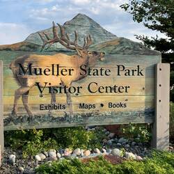 The only elk we saw was on the visitor center welcome board — Mueller SP, Divide, CO.