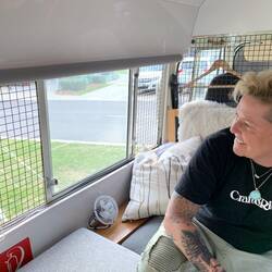 New 'cat proof' window guards!