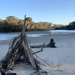 Driftwood Fort by the Lake