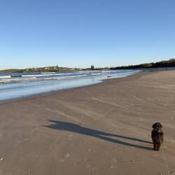 Me and my big shadow.