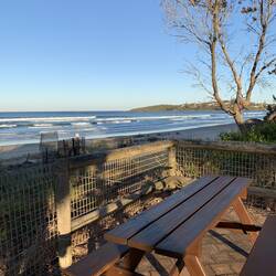 Table with a view