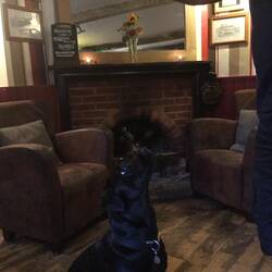 A regular at The Bell Inn, Winchester.