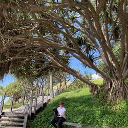 At the side of Main Beach