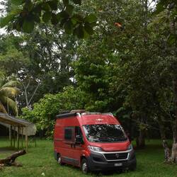 Camping Adonis in Puerto Jimenez, mit den roten Papageien in den Bäumen.