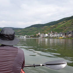 View from the boat into the Mosel valley