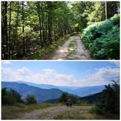 Downhill trails