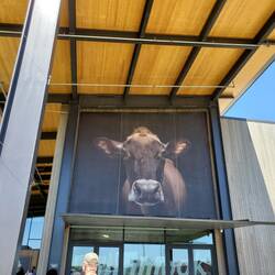 Tillamook!