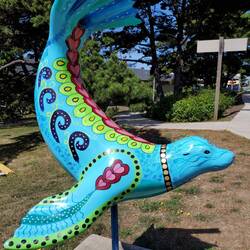 You find these little brightly colored seals in a number of the coastal towns