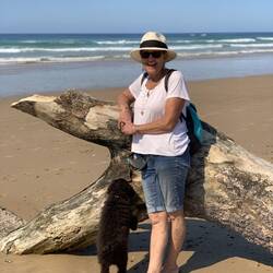 Huge tree washed into shore.