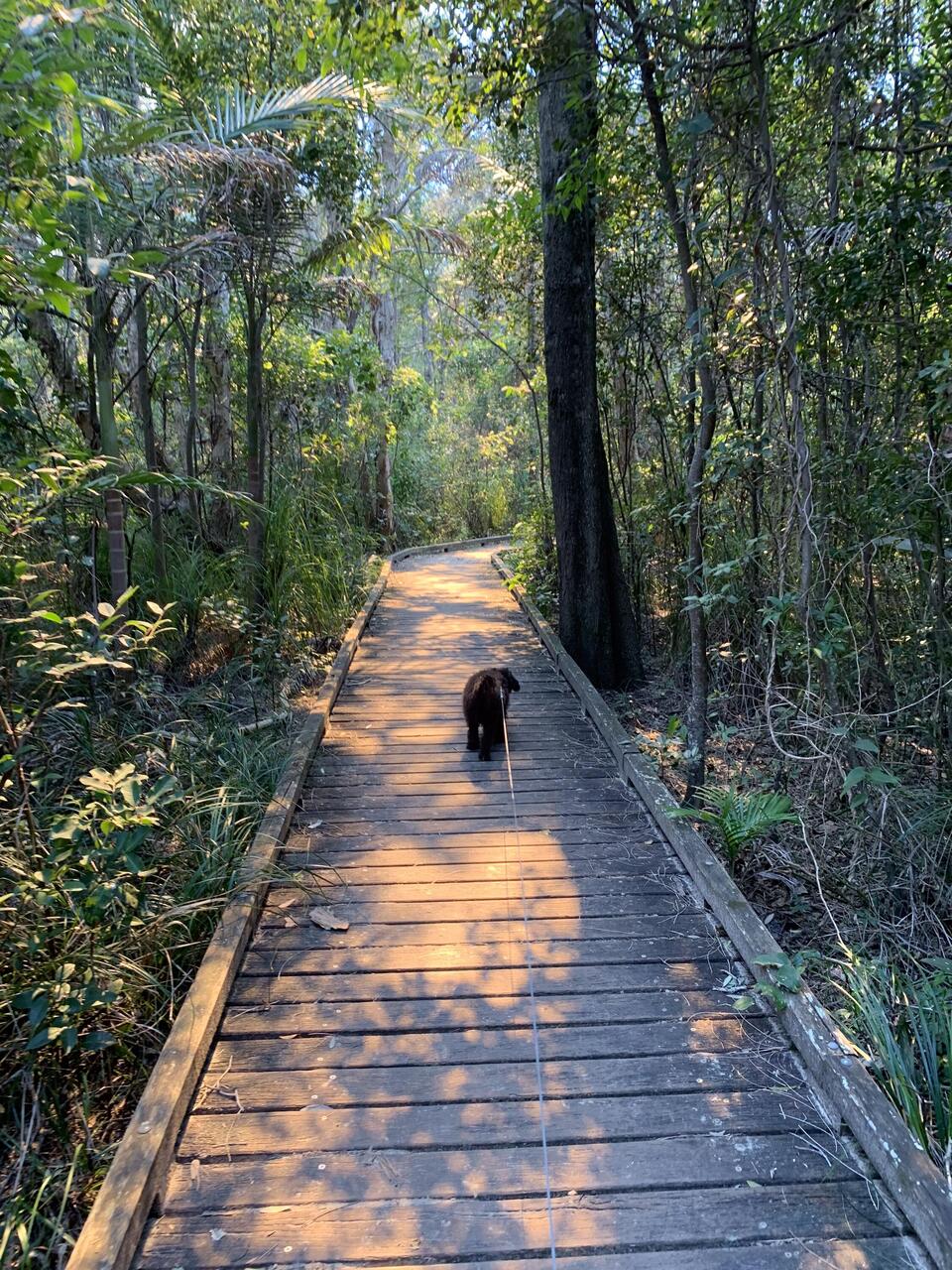 Solitary Islands Walk.