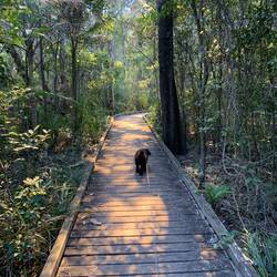 Solitary Islands Walk.