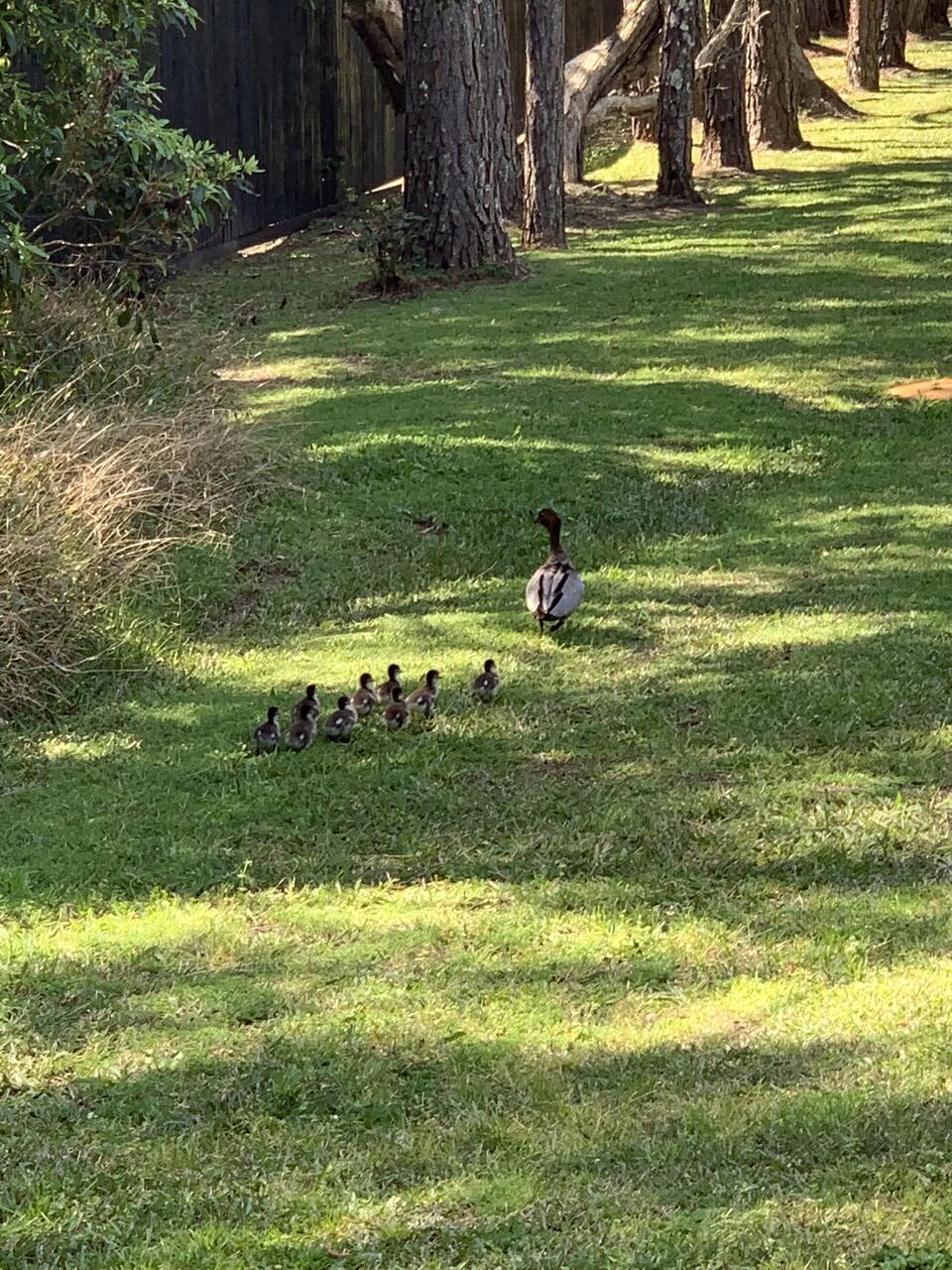 Mum and family.