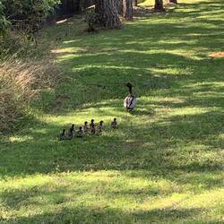 Mum and family.