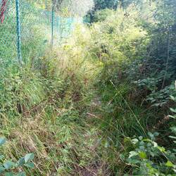 Jaja, ich werde nicht vergessen wie schlecht die Wege hier gepflegt sind 🙈 Abschiedsdorne Kratzer - Danke 😇