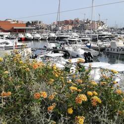 Hafen mit Pozzuoli im Hintergrund