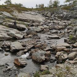 Finde den Flori 🥰