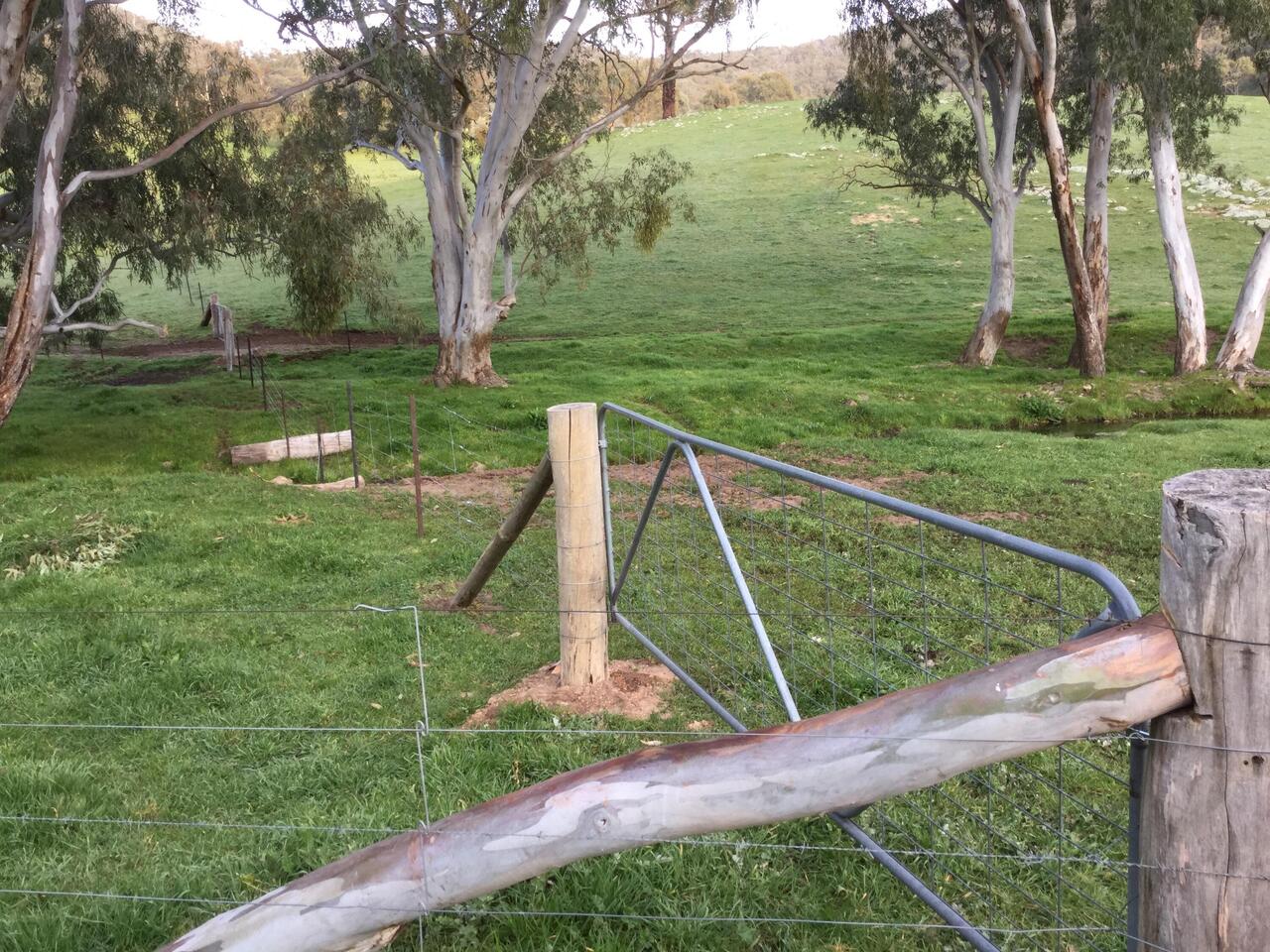 Should make cattle work a bit easier.