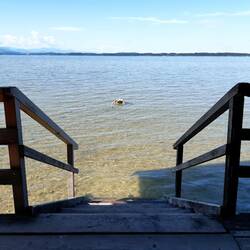 Bei Arlaching, Nordostufer Chiemsee