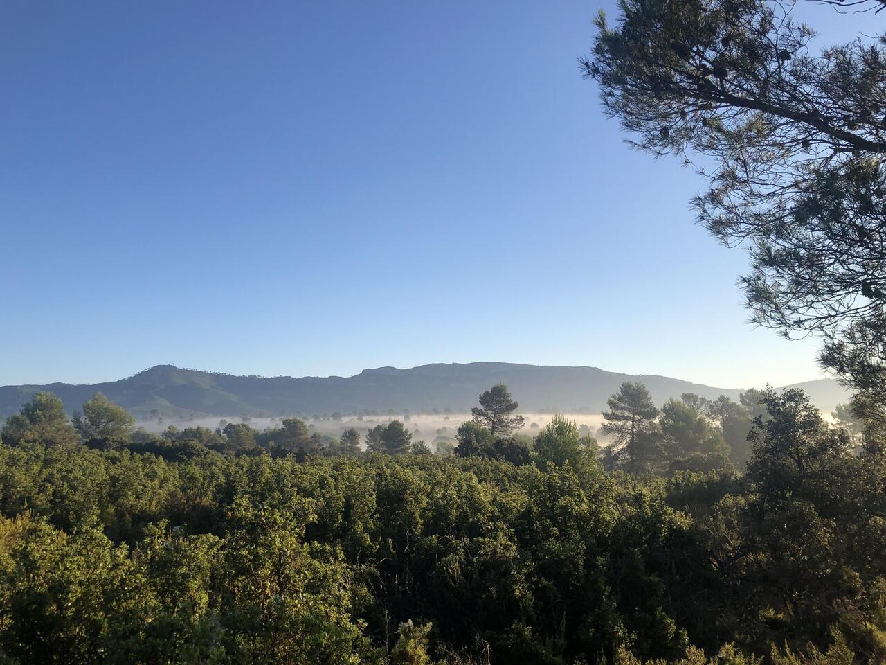Morgens nach dem aufstieg aus dem dorf