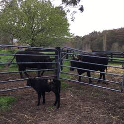 Separated from mum.