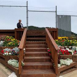 It was the colorful flowers that attracted me to the mine overlook — Lead, SD.