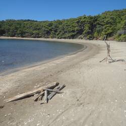 The driftwood sculpture I accidentally demolished at Blace Beach