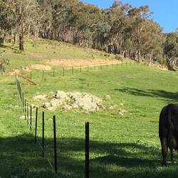 35 steel posts in - about 150 metres.