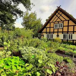 Museum in Lehde