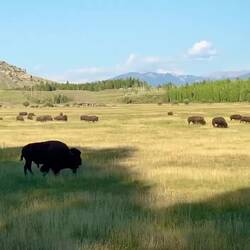 Ton an! So hört sichs an...