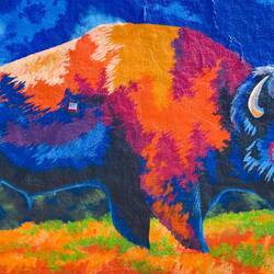 Here's the tatanka for this footprint 😉 ... by the police station — Hot Springs, SD.