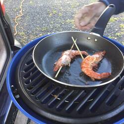 Delicious prawns