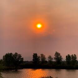 Smoke-hazy sun well before sunset ... from our site @ Bald Egle Pond Campground ... St Vrain SP.