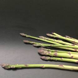 First asparagus of the season.