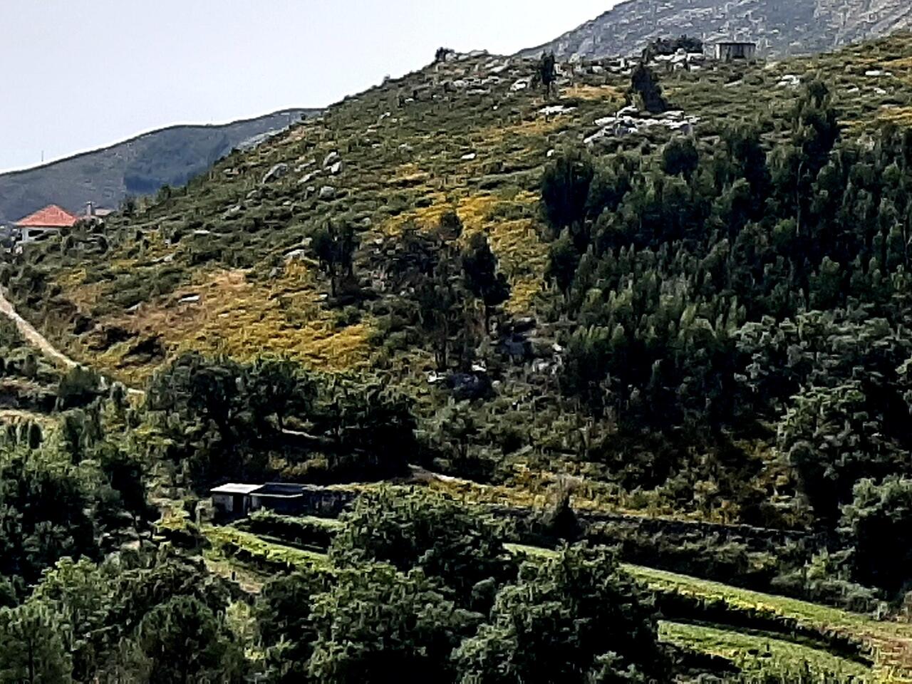 Fahrt durch die Berge