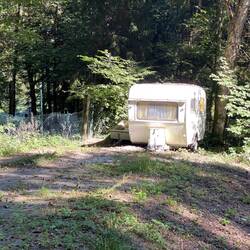 einsamer Waldcamping😳