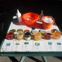 Honey Tasters